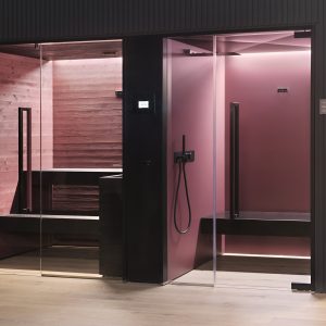 Modern steam room and sauna in plum
